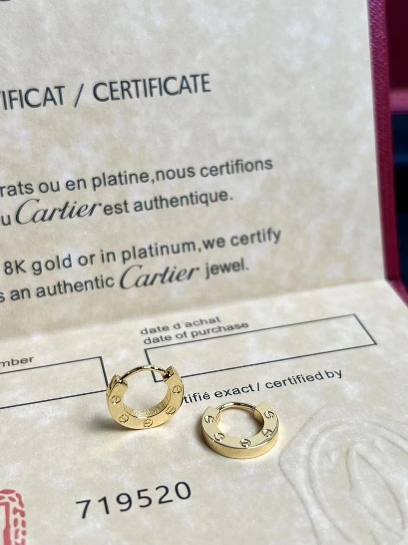 Cartier Earrings Affordable 217493
