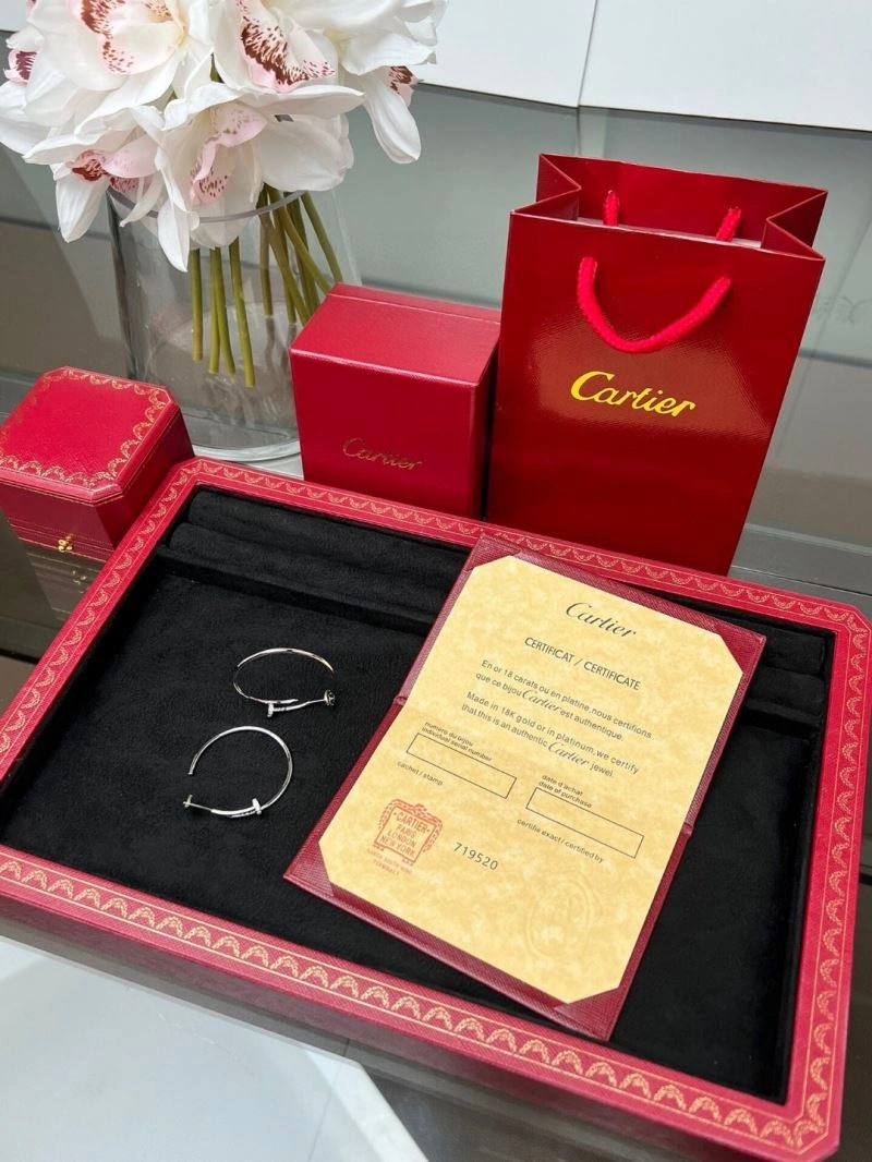 Cartier Earrings Practical 217491