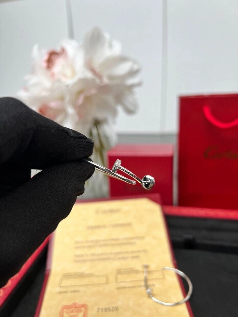 Cartier Earrings Practical 217491