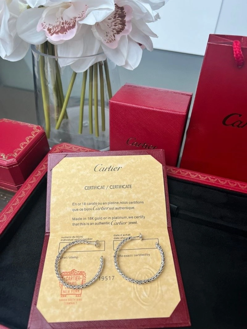 Cartier Earrings EasyCare 217429