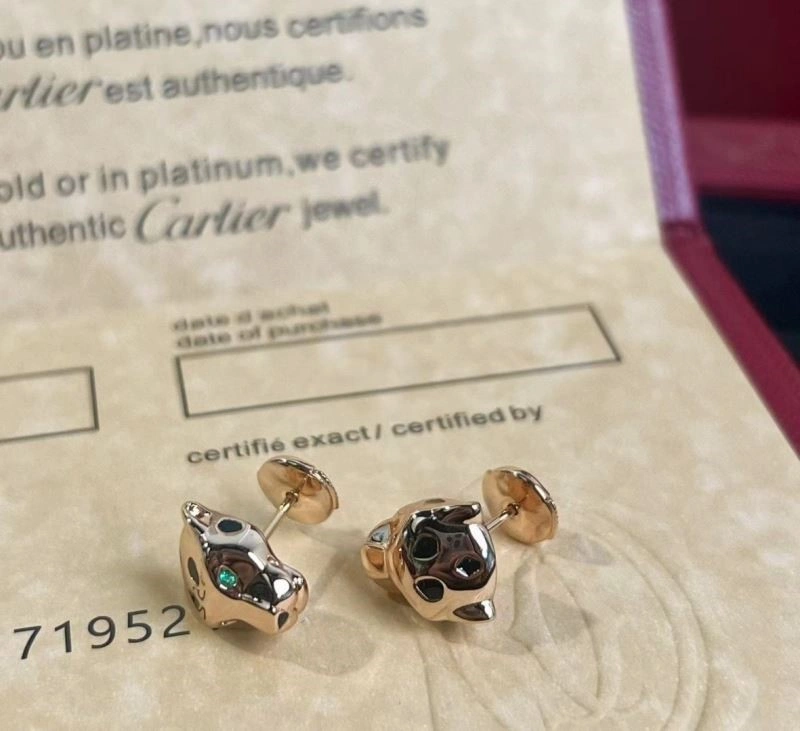 Cartier Earrings WeatherProof 217507