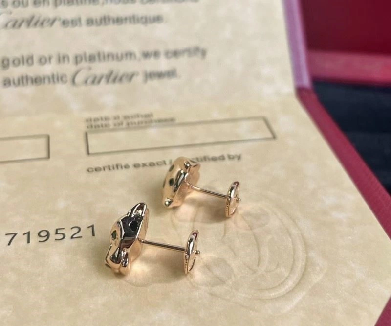 Cartier Earrings WeatherProof 217507