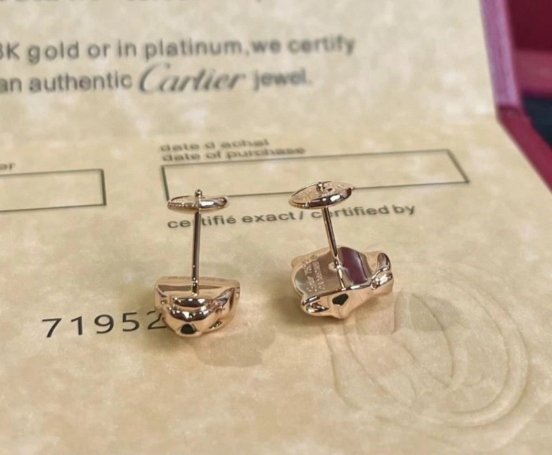 Cartier Earrings WeatherProof 217507