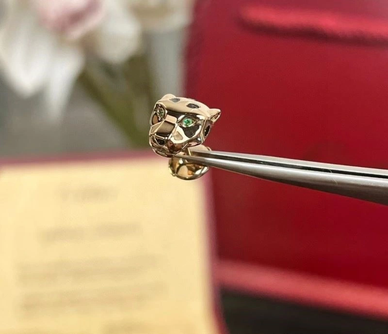 Cartier Earrings WeatherProof 217507