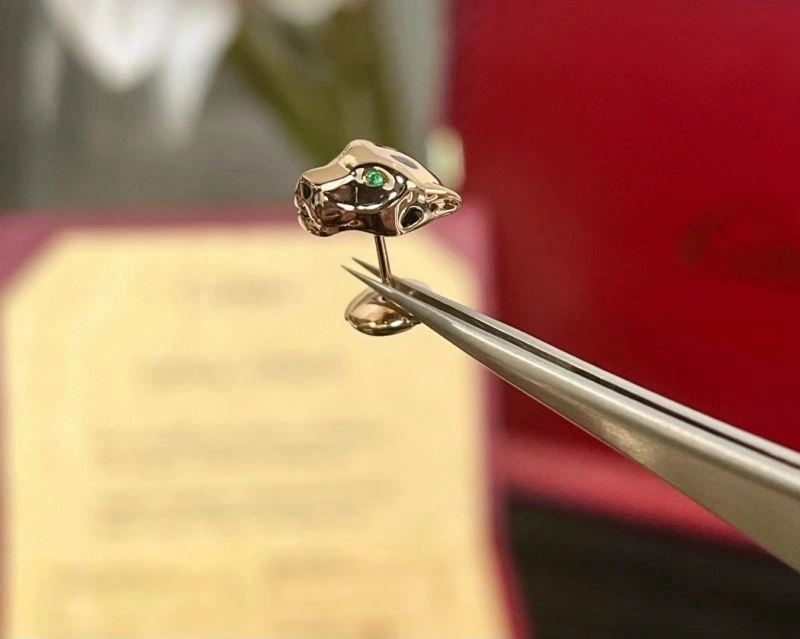 Cartier Earrings WeatherProof 217507