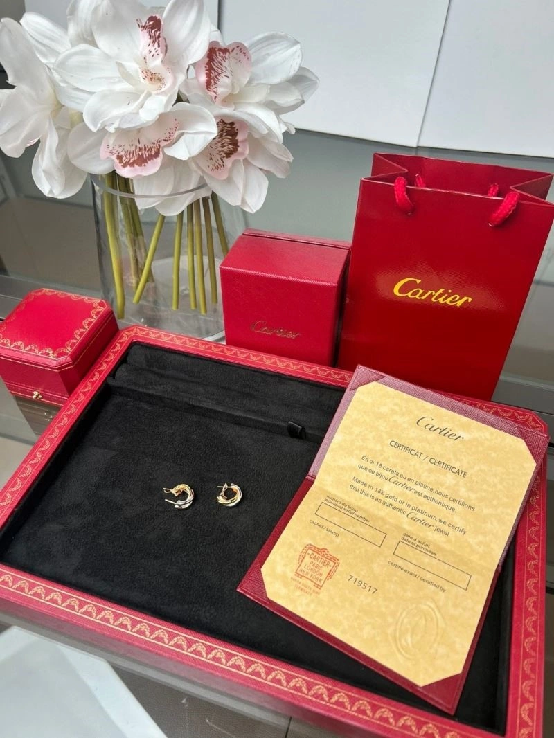SmoothTexture Cartier Earrings 217449
