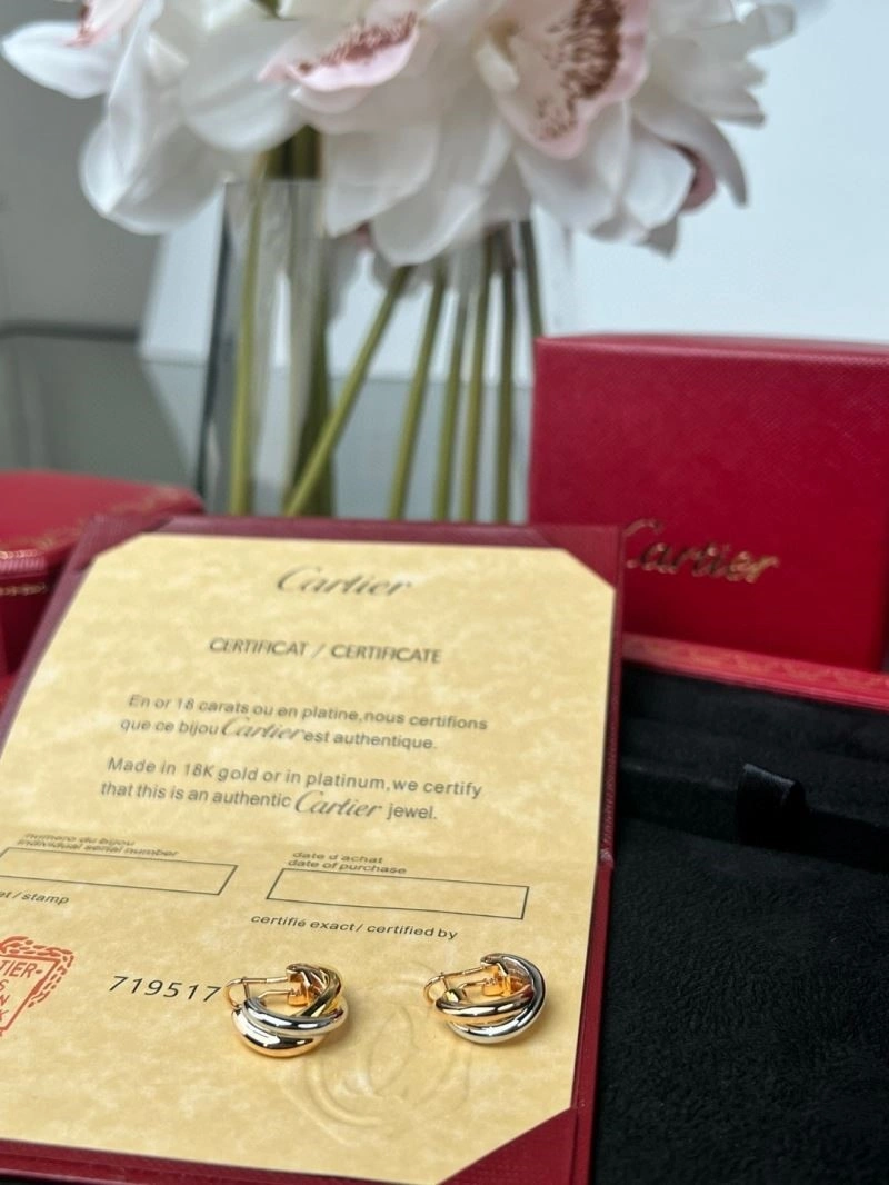SmoothTexture Cartier Earrings 217449
