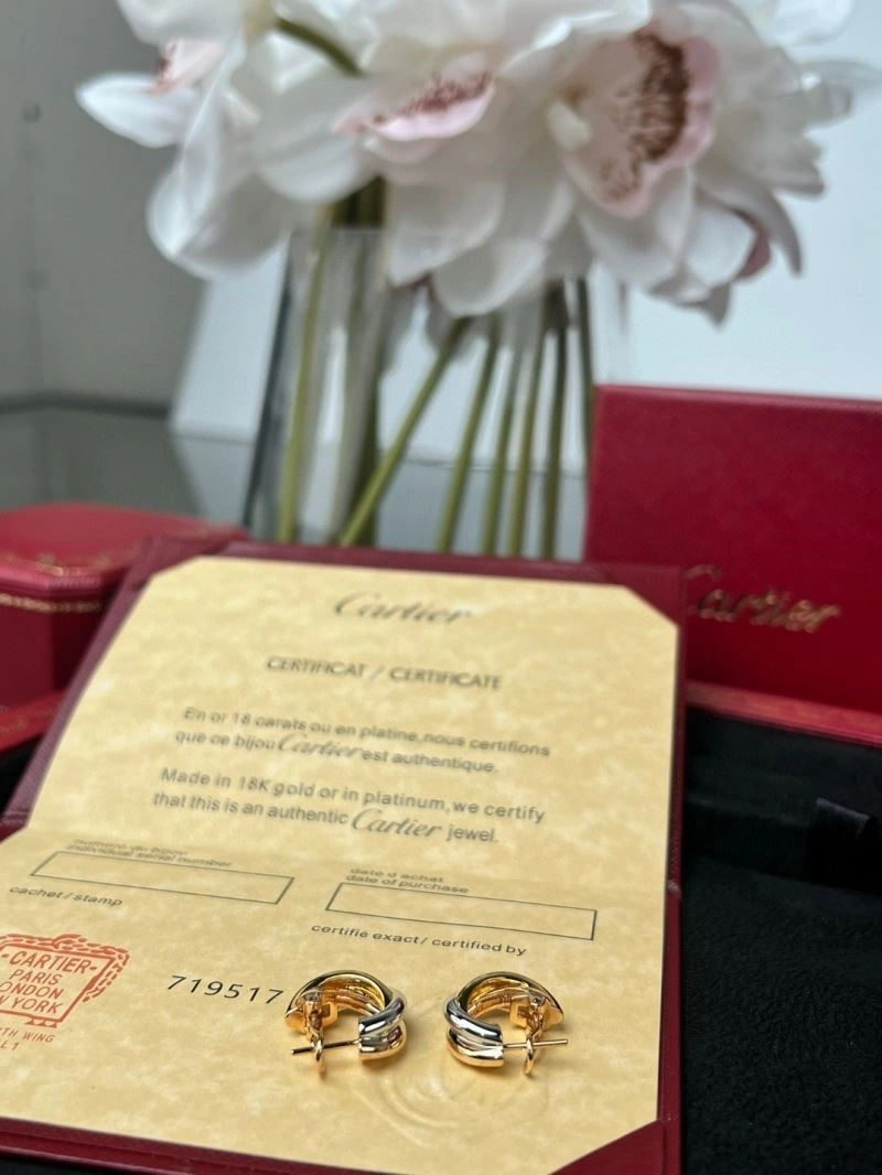 SmoothTexture Cartier Earrings 217449