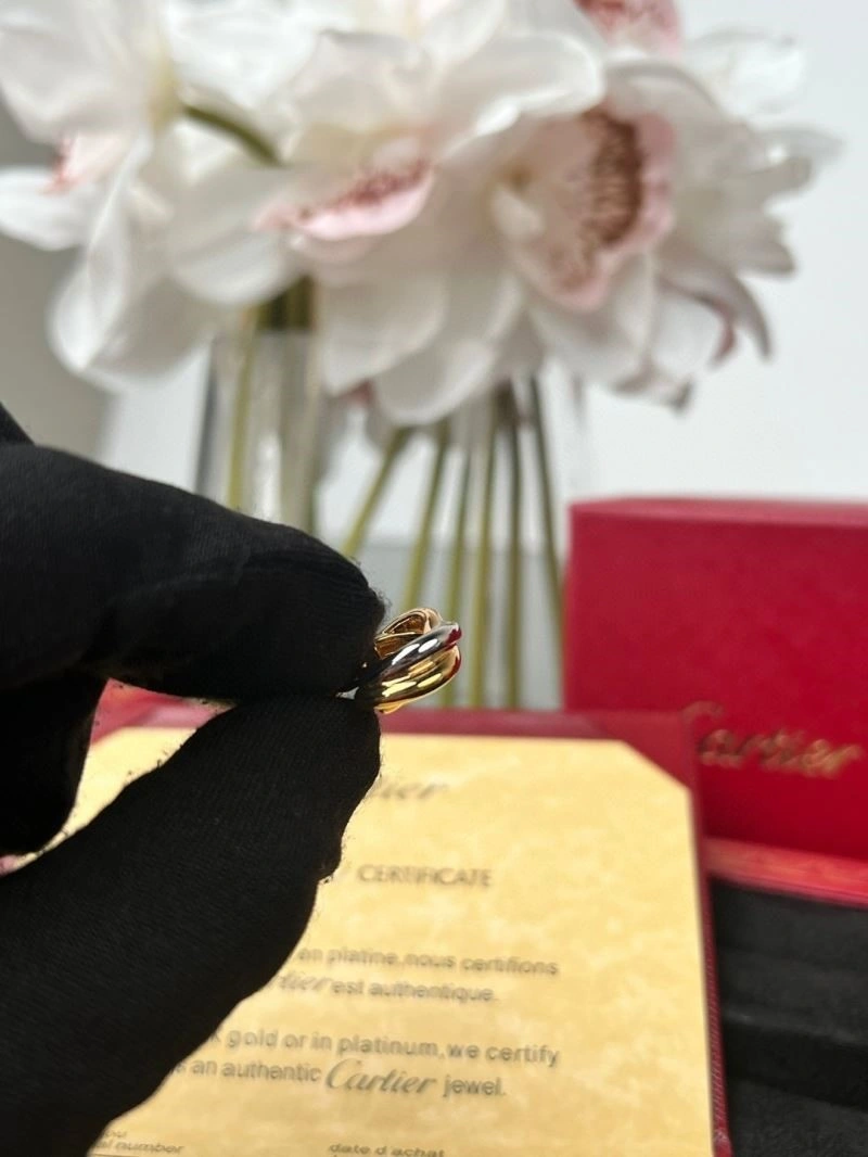 SmoothTexture Cartier Earrings 217449