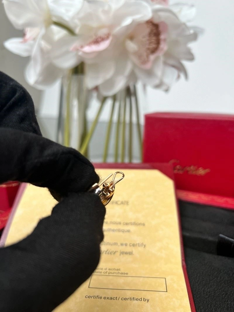 SmoothTexture Cartier Earrings 217449