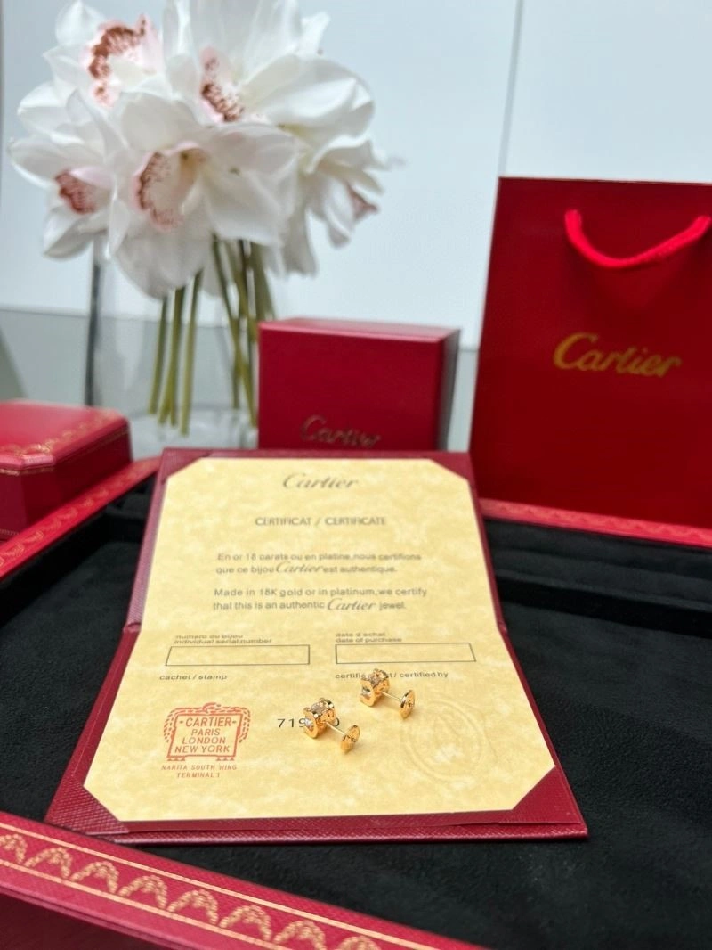 SmoothTexture Cartier Earrings 217496