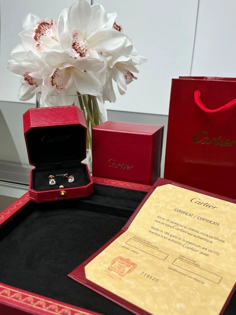 SmoothTexture Cartier Earrings 217496