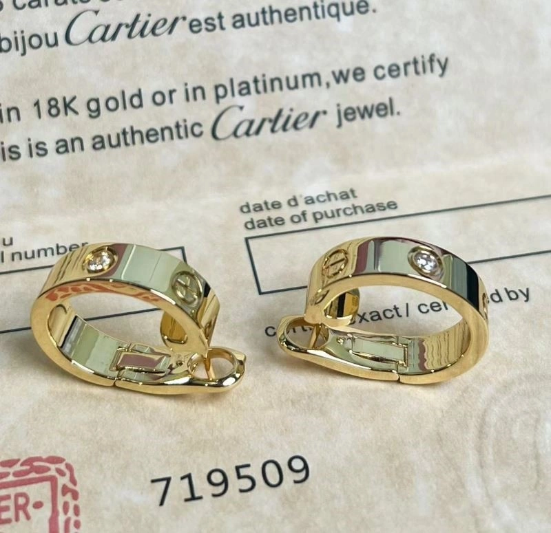 Durable Cartier Earrings 217427