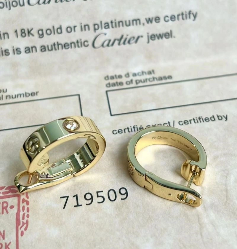 Durable Cartier Earrings 217427