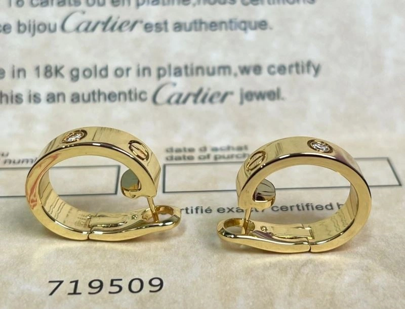 Durable Cartier Earrings 217427
