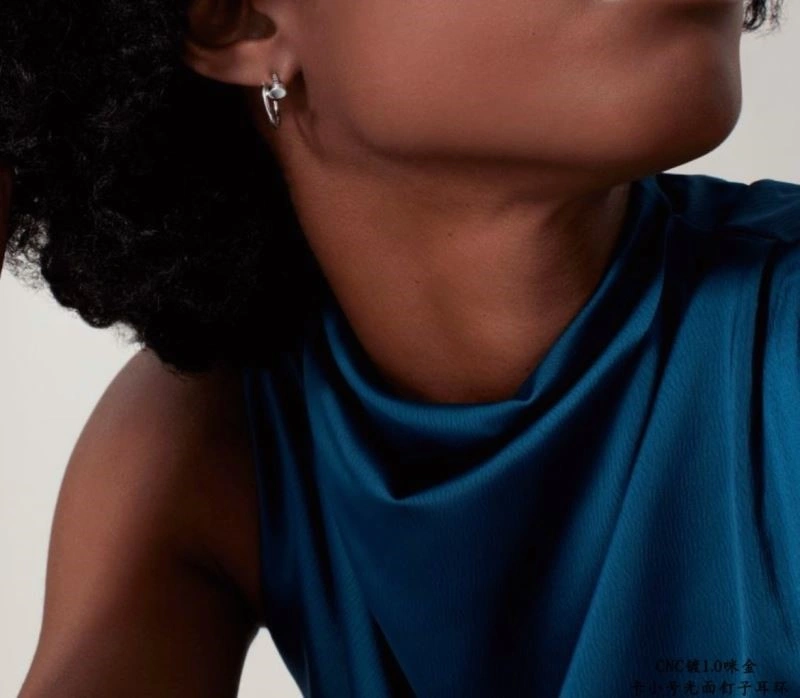 Cartier Earrings FreshLook 217312