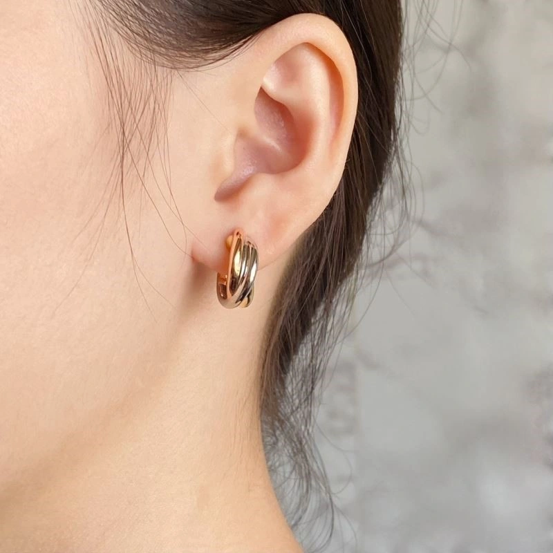 Cartier Earrings GoAnywhere 217165