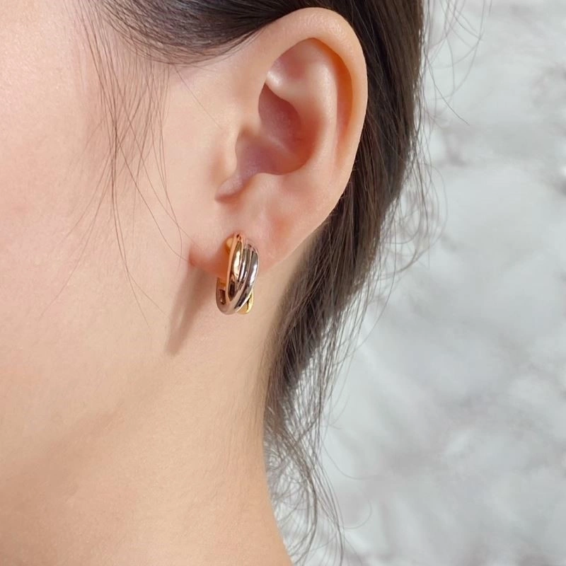 Cartier Earrings GoAnywhere 217165