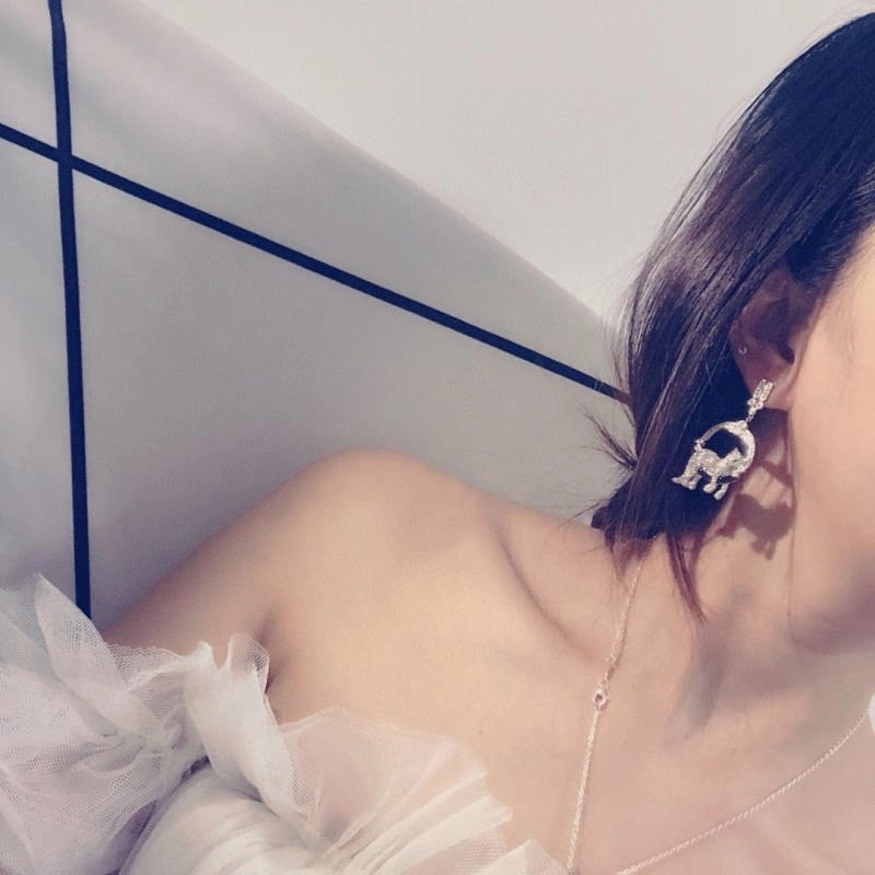 Cartier Earrings NewStyle 217005