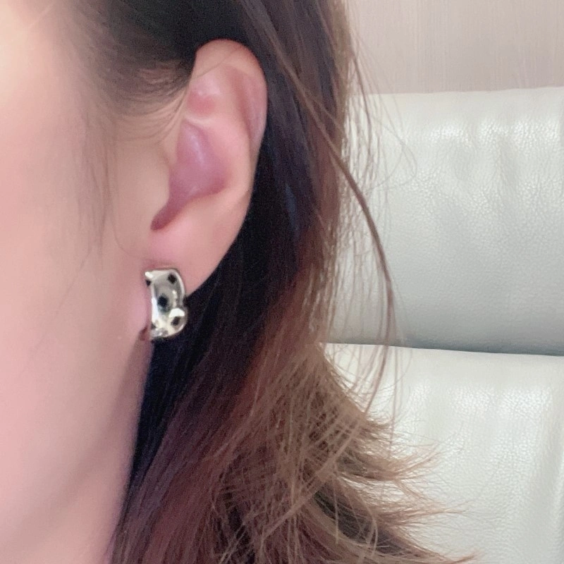 Cartier Earrings SmoothTexture 217000