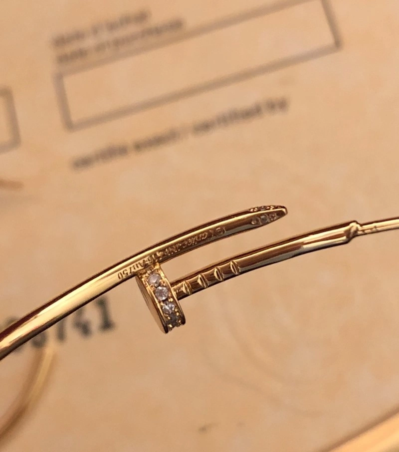 Cartier Earrings EyeCatching 216988