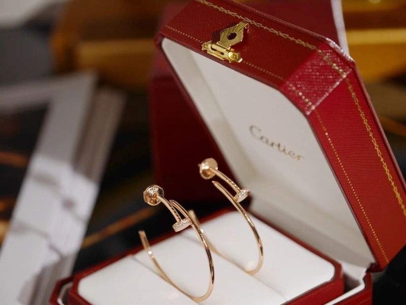 Cartier Earrings Vibrant 216982