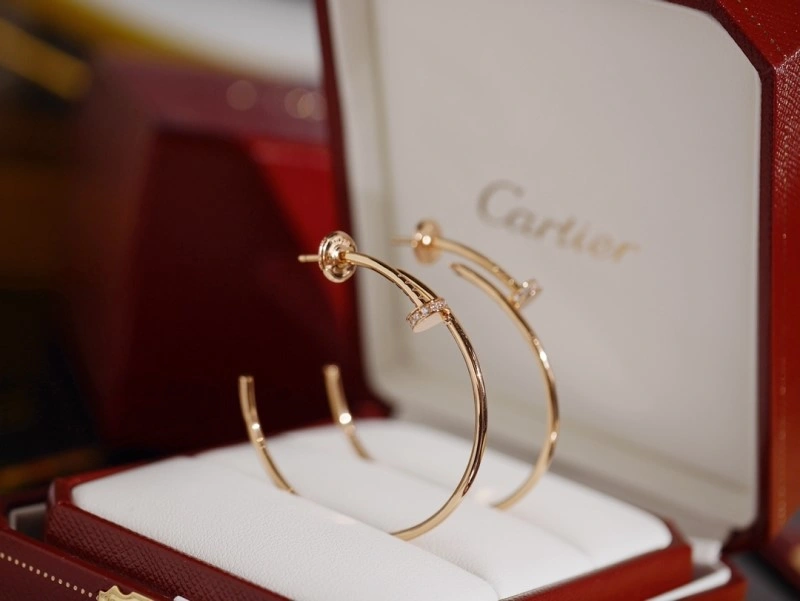 Cartier Earrings Vibrant 216982