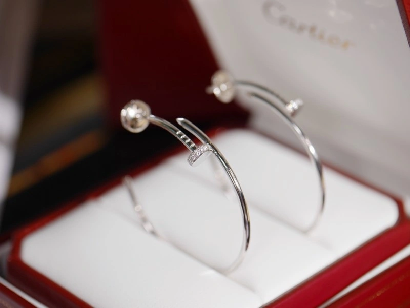 Cartier Earrings Vibrant 216982