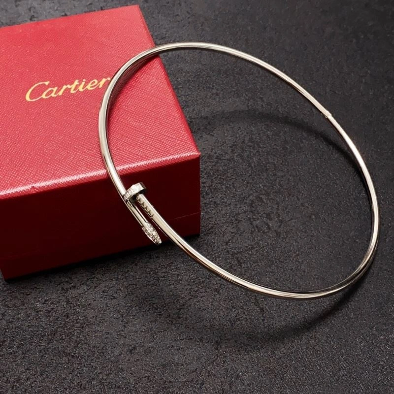 Cartier Necklaces FastDry 217804