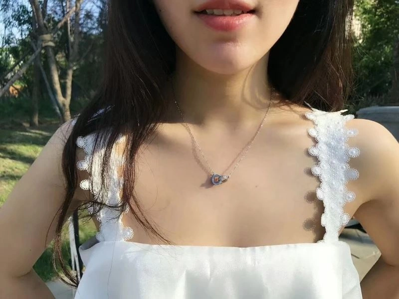 Cartier Necklaces Seasonal 217772