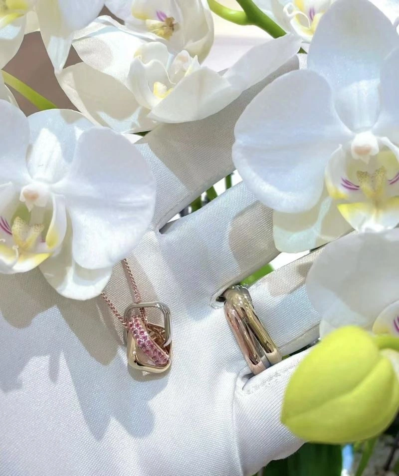 Cartier Necklaces GoAnywhere 217759