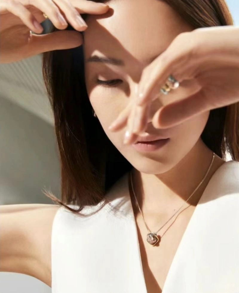 Cartier Necklaces GoAnywhere 217759