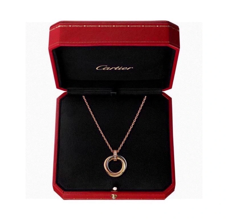 Cartier Necklaces DailyWear 217468