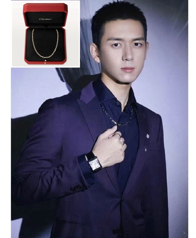 Cartier Necklaces Sophisticated 217414