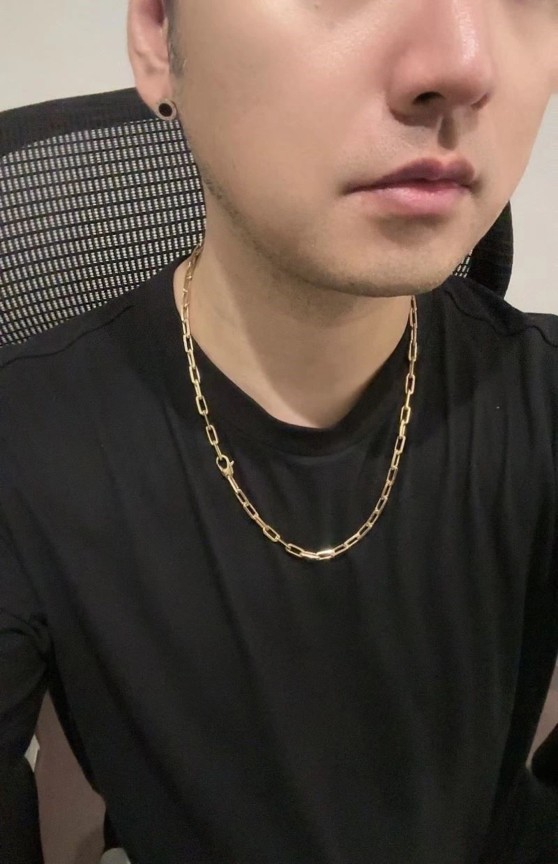 Cartier Necklaces Sophisticated 217414