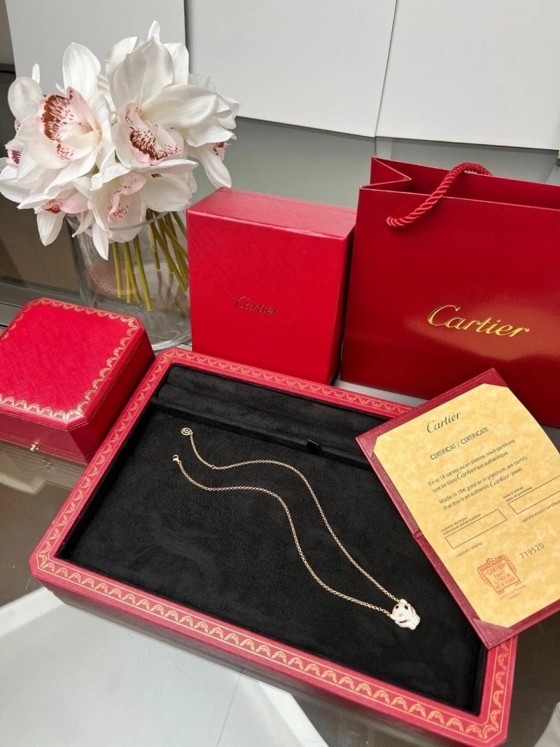 Cartier Necklaces StreetReady 217405