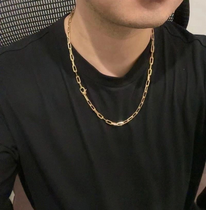 Cartier Necklaces Functional 217153