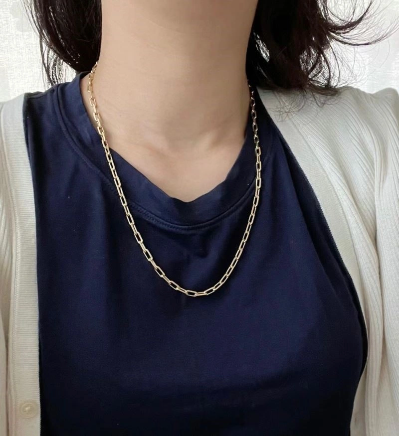 Cartier Necklaces Functional 217153
