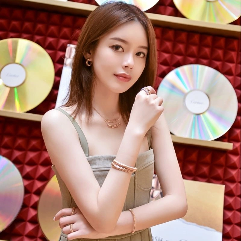 Cartier Necklaces DailyWear 217144