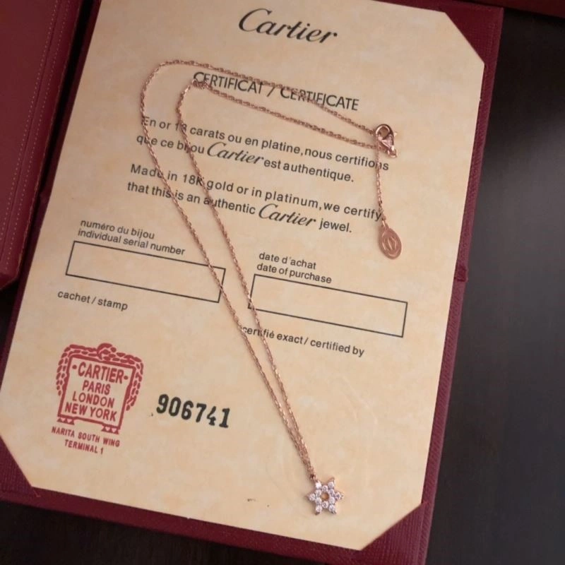 OdorResistant Cartier Necklaces 217150