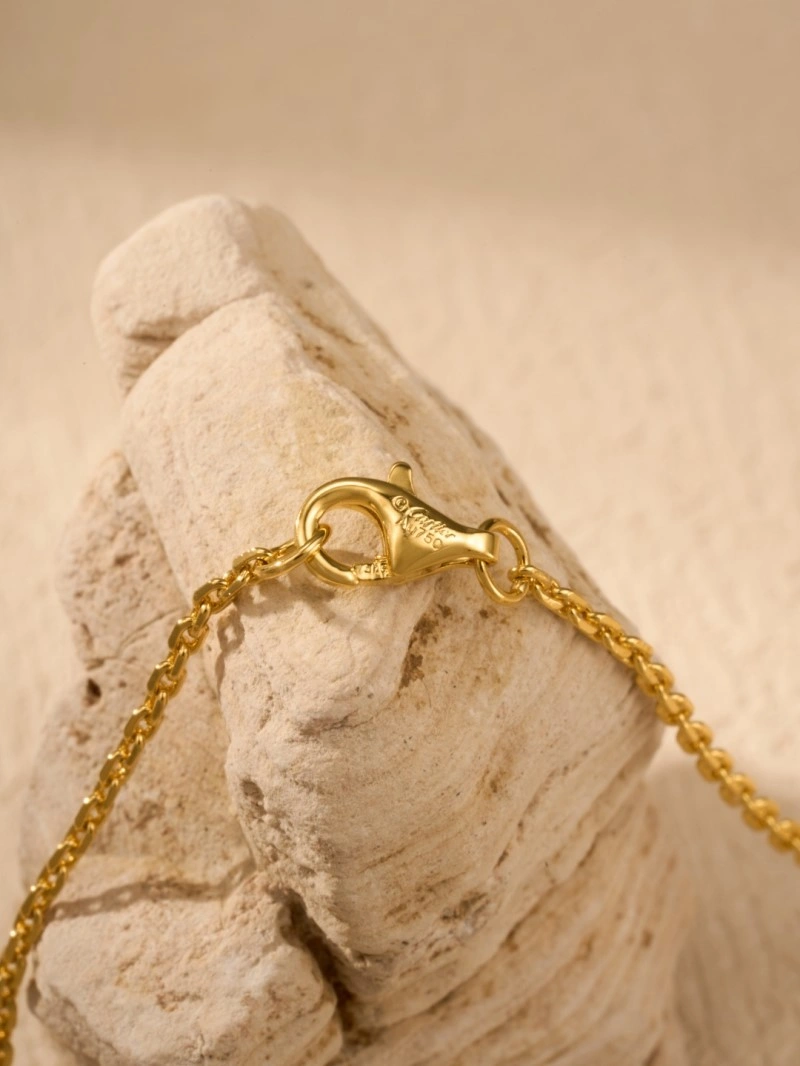 Cartier Necklaces SmoothTexture 216946