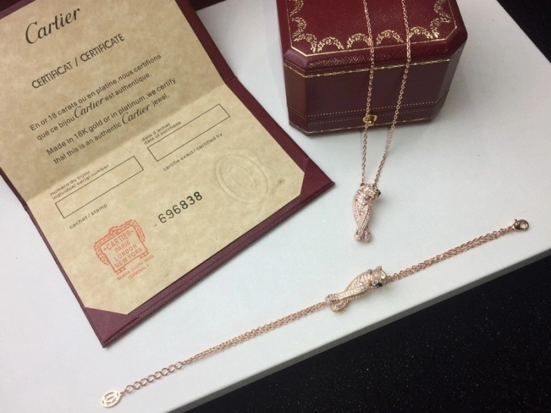 Cartier Necklaces EyeCatching 217023