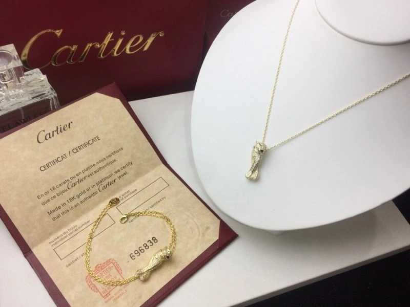 Cartier Necklaces EyeCatching 217023