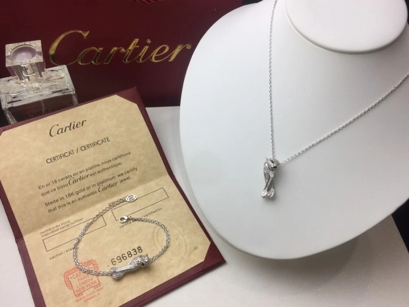 Cartier Necklaces EyeCatching 217023