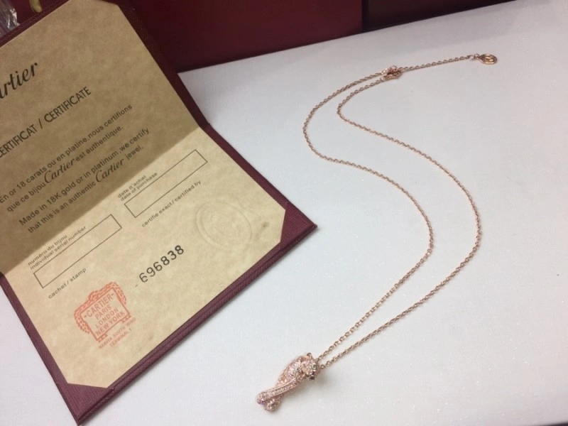 Cartier Necklaces EyeCatching 217023