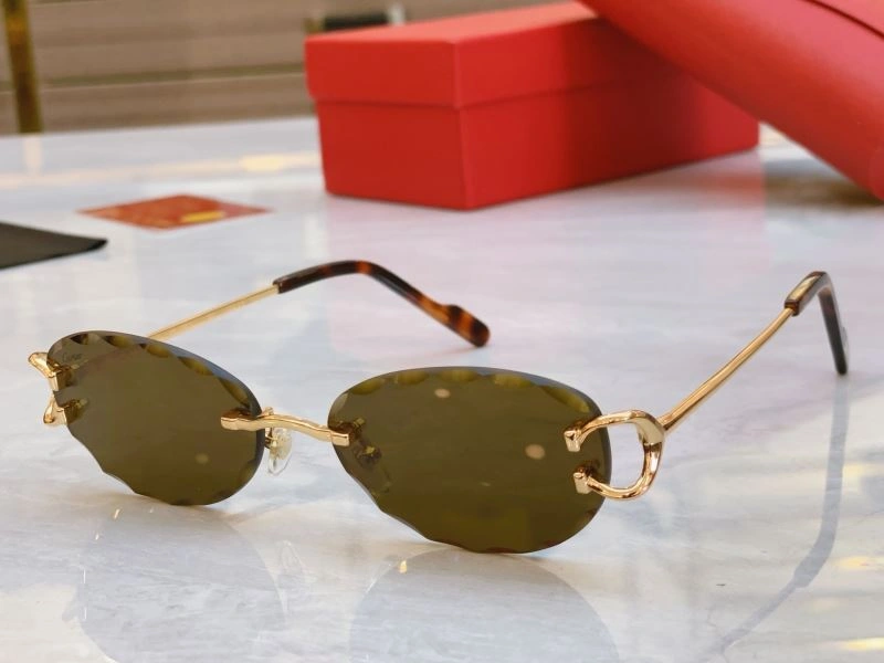 Soft Cartier Sunglasses 277474