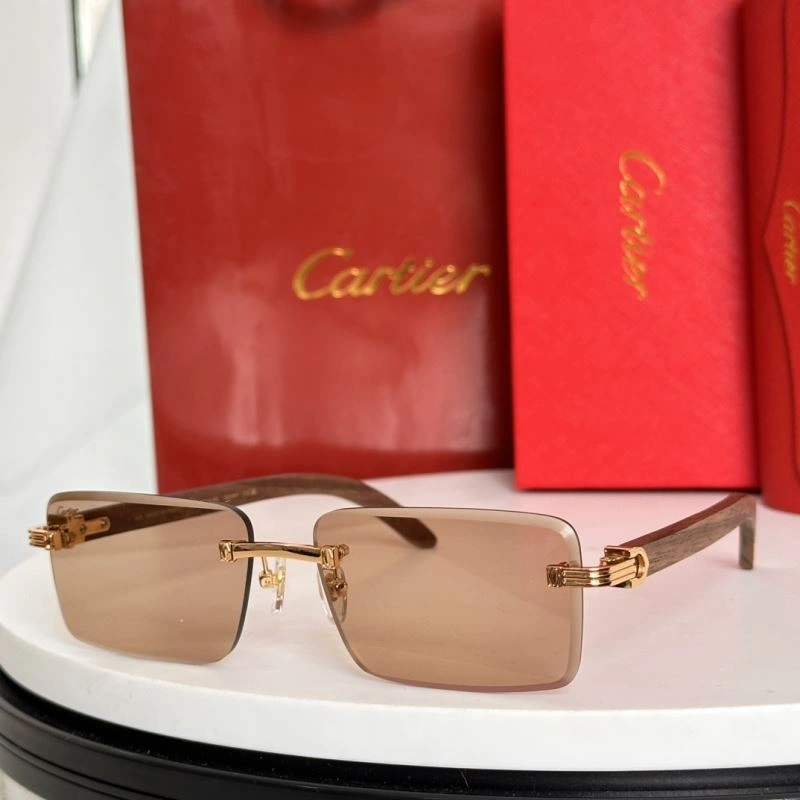 Minimalist Cartier Sunglasses 277472
