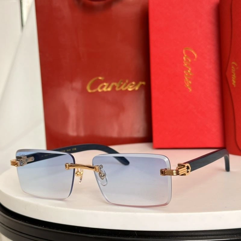 Minimalist Cartier Sunglasses 277472