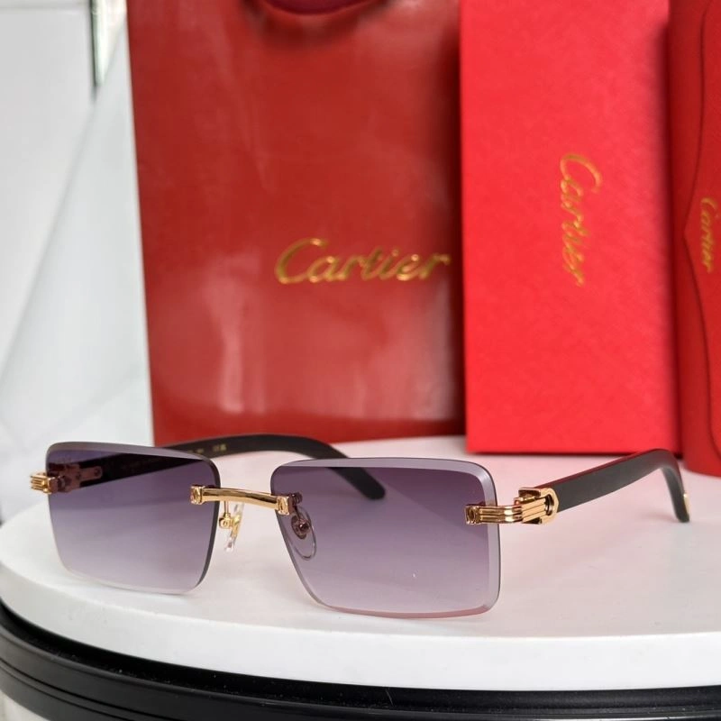 Minimalist Cartier Sunglasses 277472