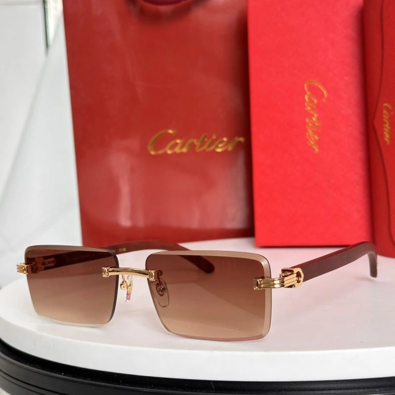 Minimalist Cartier Sunglasses 277472